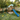 Cloud Cottage Wooden Playhouse Swing Set with Slide