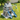 Pirate Dino Cove Outdoor Playset With Twin Slides