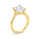 Camille Princess Cathedral Solitaire Ring