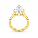 Camille Princess Cathedral Solitaire Ring