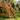 Colorful Cottage Garden Playhouse With Raised Deck