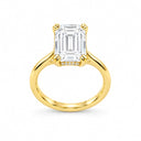 Genevieve Emerald Cut Hidden Halo Ring