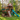 Dino Volcano Adventure Outdoor Playset With Slides