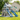 Pirate Dino Cove Outdoor Playset With Twin Slides