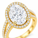 Valentina Oval Halo Split Shank Ring