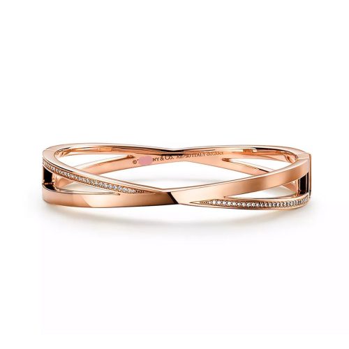 Pnstime T Atlas x Narrow Hinged Bangle Bracelet