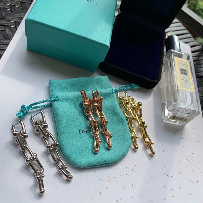 Pnstime T HardWear Graduated Link Earrings - Image 9