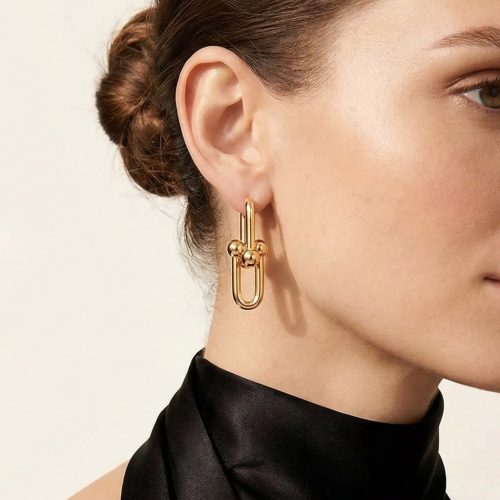 HardWear Extra Large Link Earrings